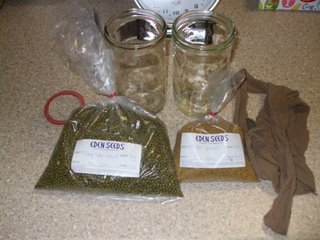 All you need to start